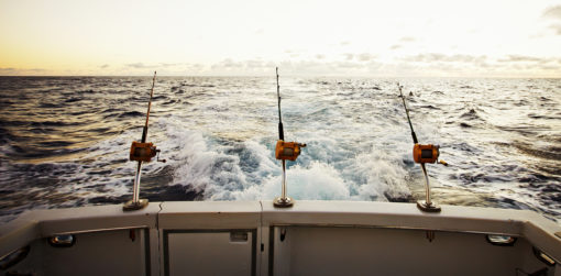A row of fishing poles are lined up along the back of a boat