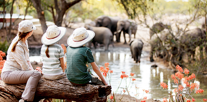 An adult and two children sit on a log and observe nearby elephants