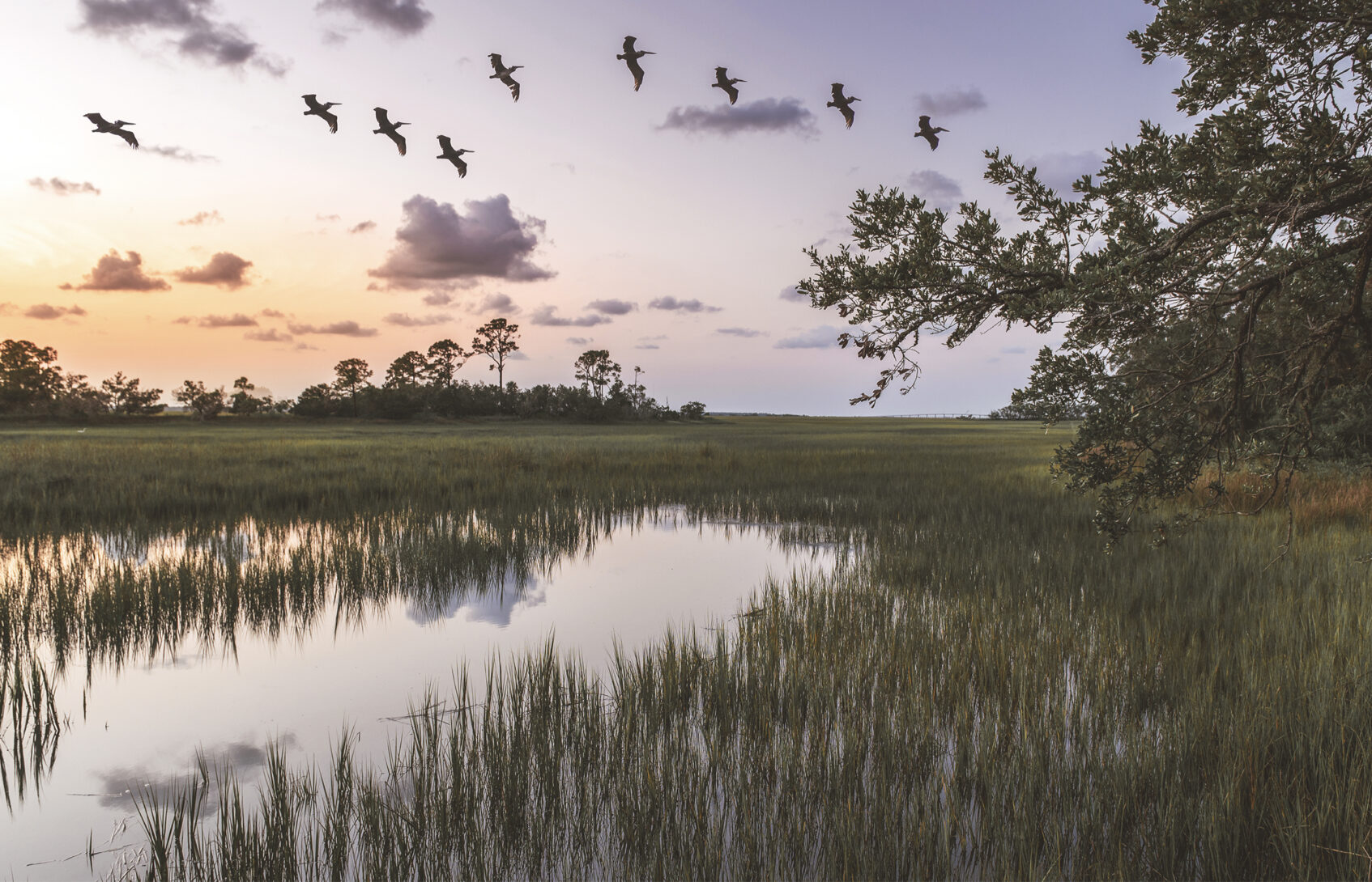 Salt marsh at dusk.
