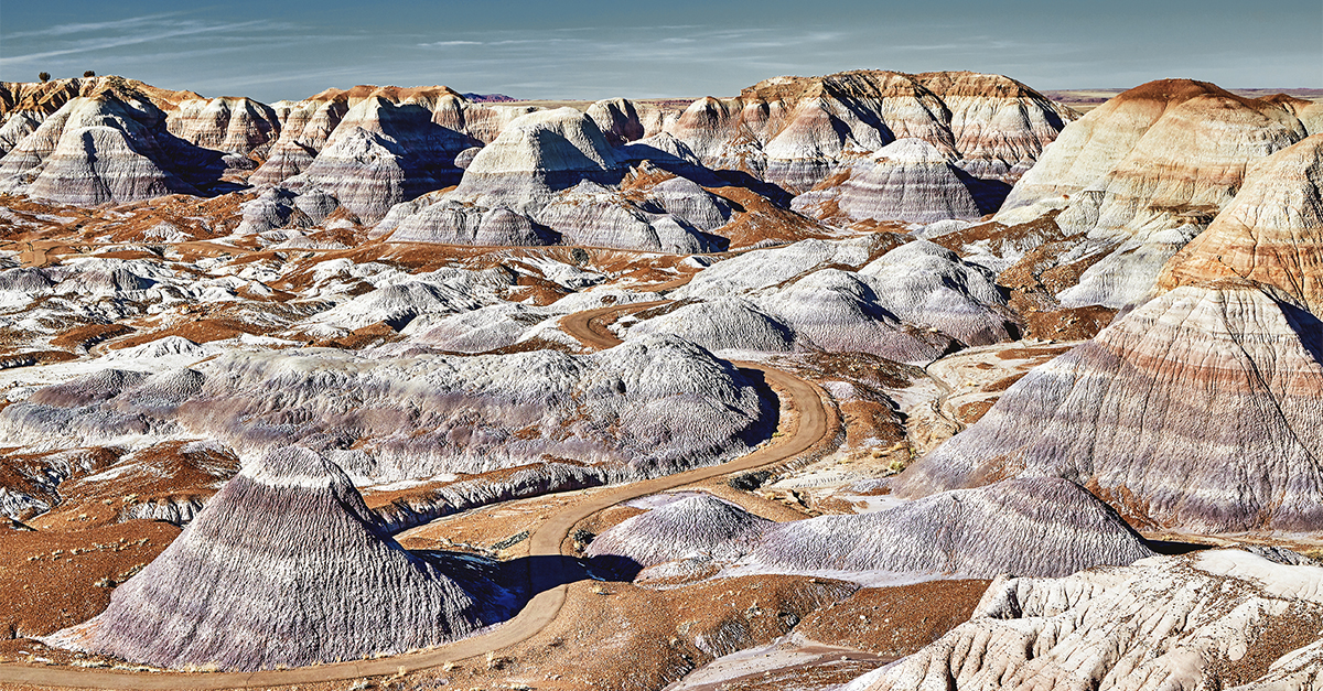 Petrified Forest National Park
